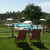 Agriturismo La Tinaia - Piscina in posizione estremamente panoramica